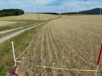 Monitoring von Agrarumweltmaßnahmen (AUM) in Hessen