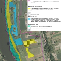Managementplan für das FFH-Gebiet „Maintal und -hänge zwischen Sulzbach und
              Kleinwallstadt“
